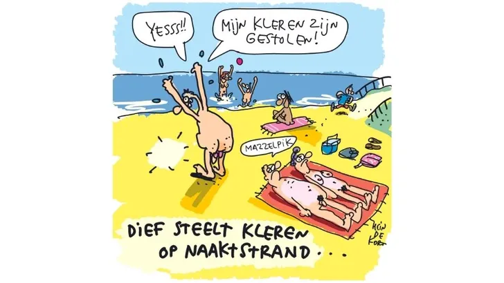 Cartoon Hein de Kort