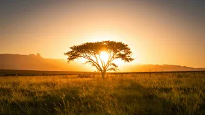 Zuid-Afrika