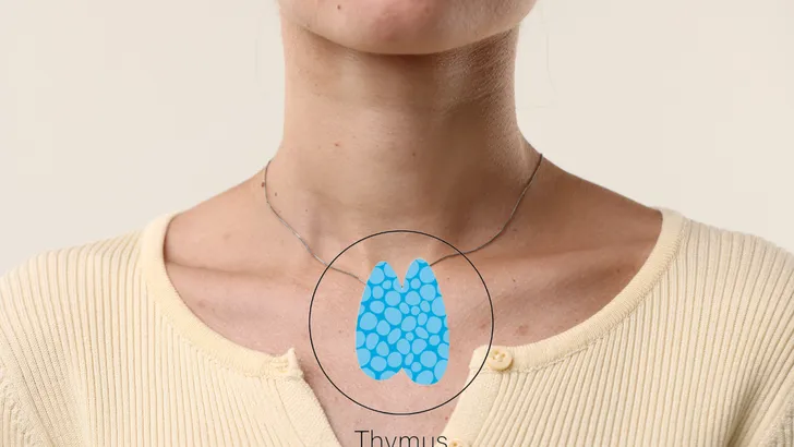 Waarom de ene persoon sneller veroudert dan de ander: de rol van de thymus