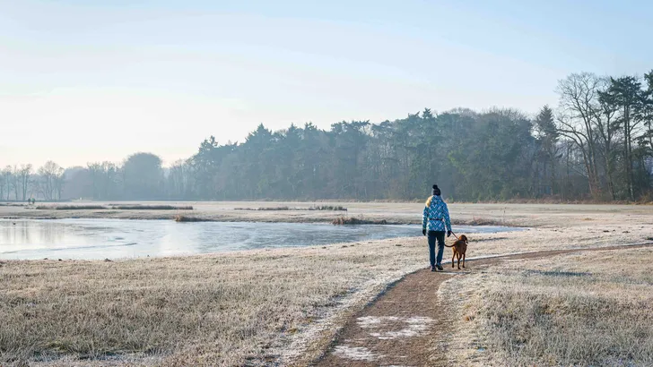 Korte wandelingen