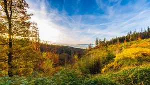 Belgische Ardennen