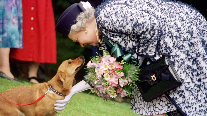 Queen Elizabeth through the years