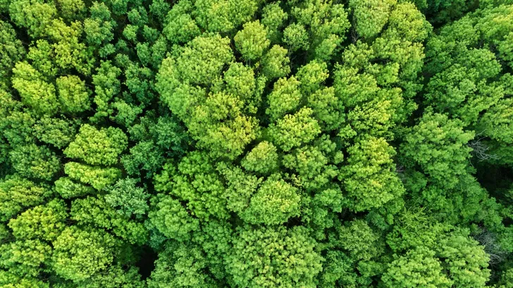 Duurzaam wonen zonder het gedoe van zonnepanelen