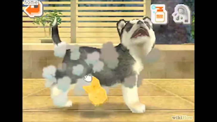 nintendogs