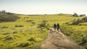 wandelen