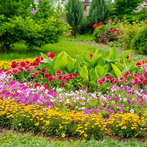 tuintips
