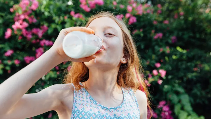 Is de nieuwe Schijf een gevaar voor je botten of een broodnodige correctie?