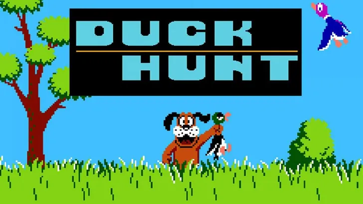duck hunt