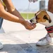 hond hitte 30 graden water