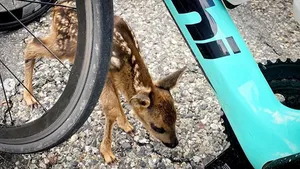 Profs op Instagram: Gesink redt hertje, Mollema op pad met de koning van de Madone