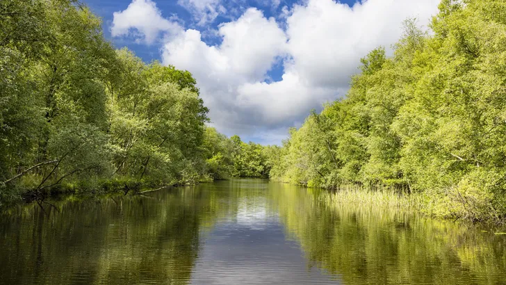 Nationaal Park Weerribben-Wieden