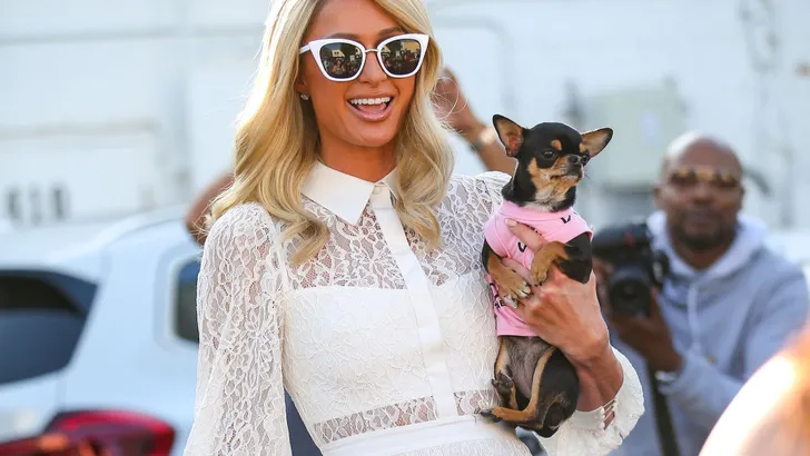 paris hilton 2021