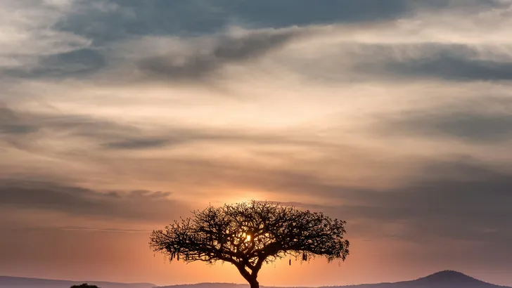 Afrika