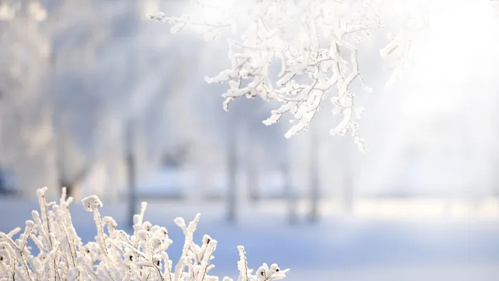 Pakt u de dikke winterjas er maar bij: het wordt héél koud