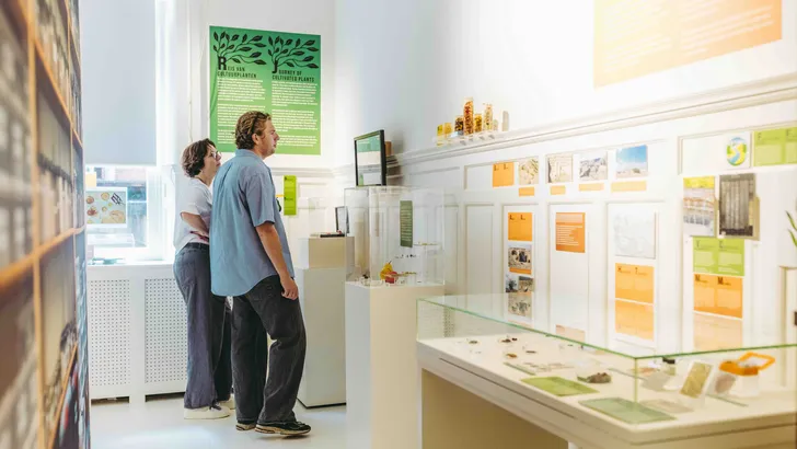 Musea Groningen