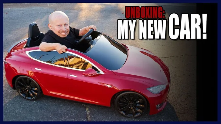 verne troyer tesla