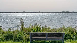 A lovely bench with a view over the lake