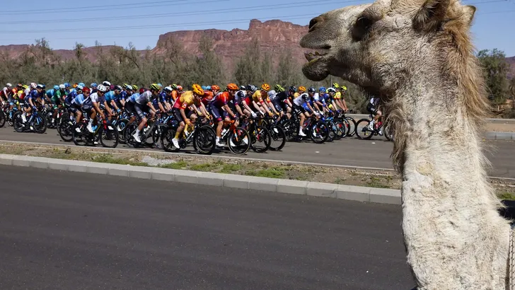 Saudi Tour 2023 - stage 3