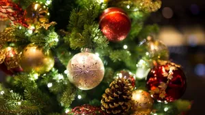 Zien: de allerduurste kerstboom ter wereld