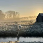 huisje natuur kerst