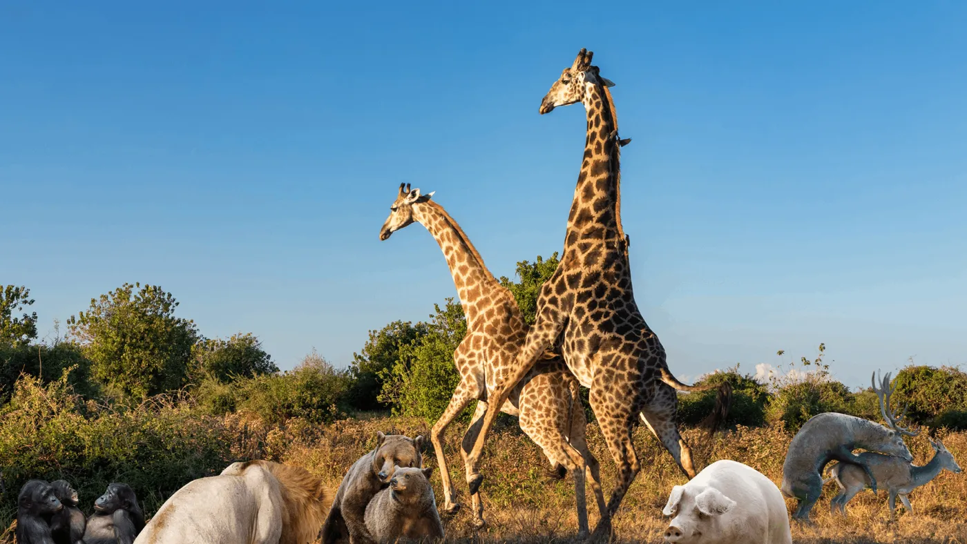 Bij de beesten af - In het dierenrijk stikt het van de swingers