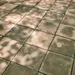 groene aanslag tegels tuin