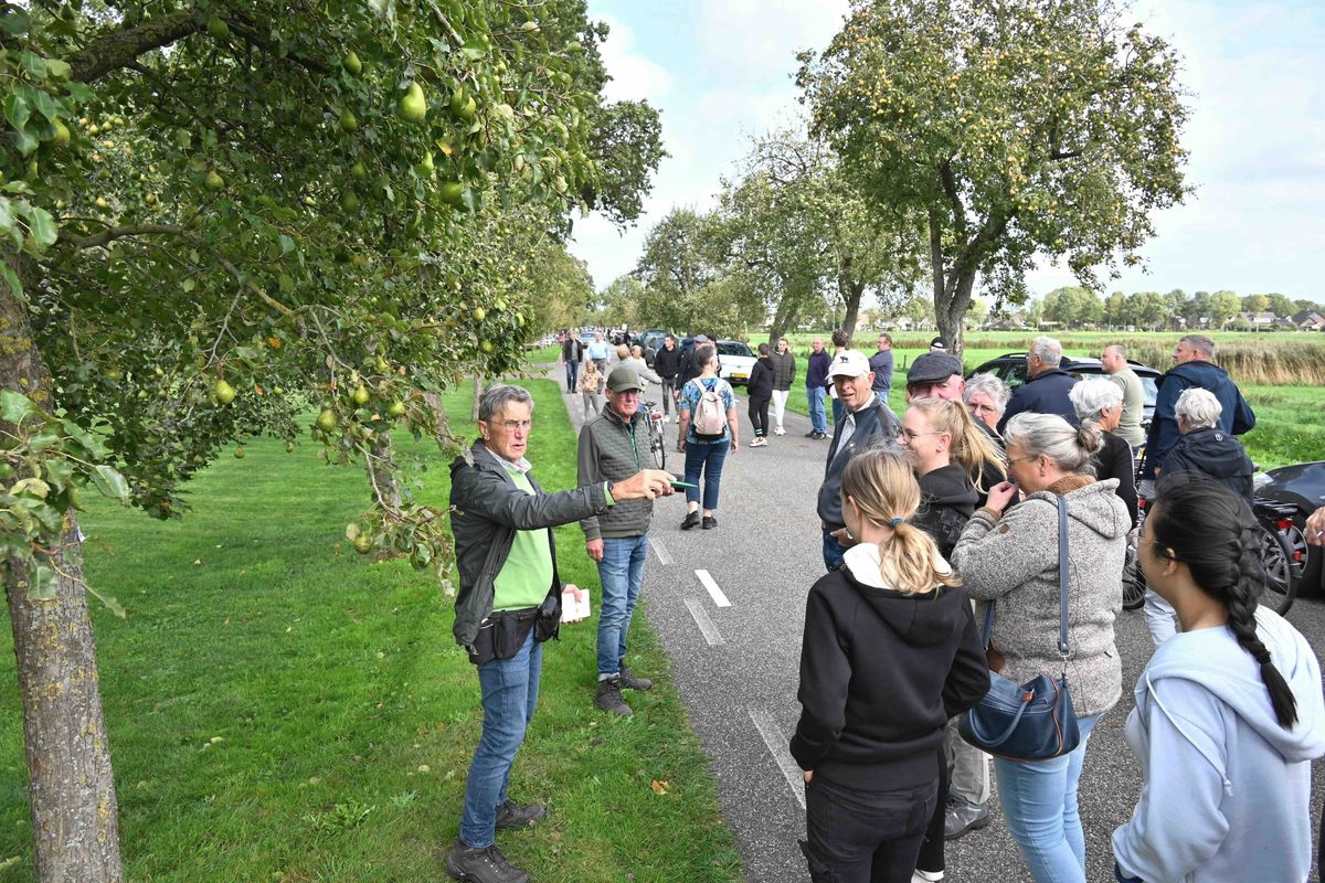 Kijken, kopen, plukken op de perenveiling in Ruinerwold: een vaste traditie
