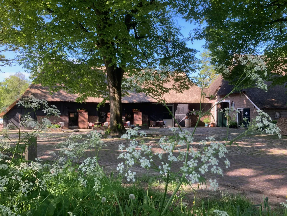 Foto 3 van Herberg de Aelderstroom