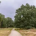 Hondsrug
