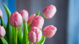 Bloemen