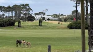 Leading Courses: Uit de baan geblazen - Hermanus Golf Club