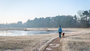 Vrouw wandelt alleen met haar hond door winterlandschap.