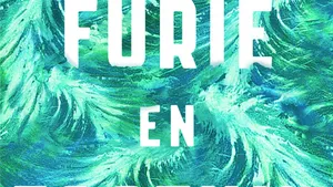 Boek: Furie en fortuin