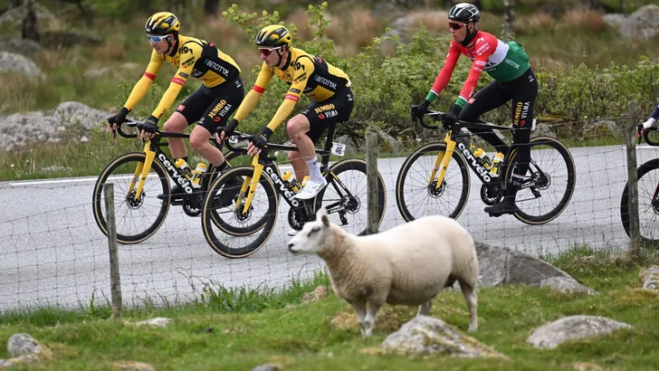 Tour of Norway 2023 stage-3