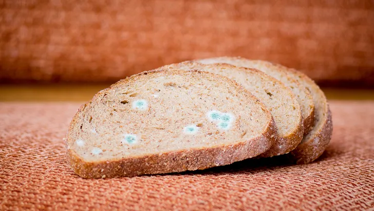 Droog, muf brood. Bedorven, niet-eetbaar voedsel.