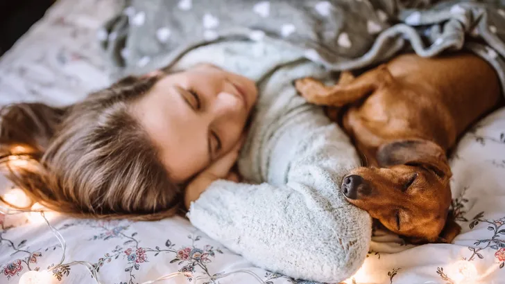 Enjoying Christmas Morning With Her Beautiful Dachshund in Bed