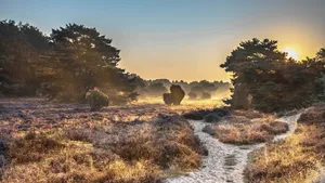 Drenthe