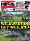 magazine