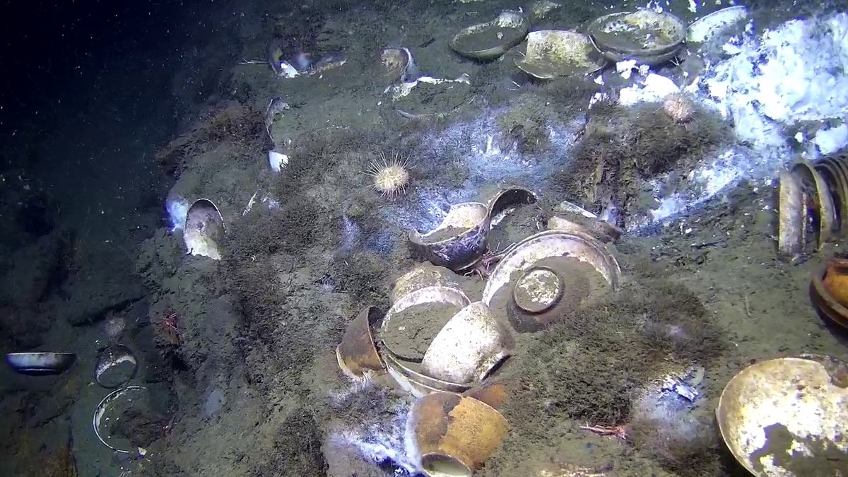 Horlogemaker ontdekt op 600 meter diepte een scheepswrak vol Chinees porselein