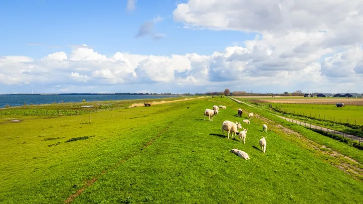 Mieterse wandelingen voor als het slecht weer is