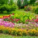 tuintips