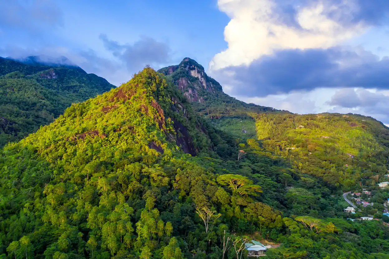 Morne Seychellois