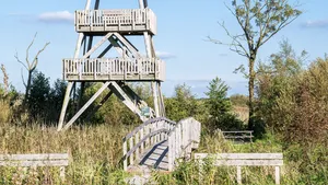 De Alde Feanen