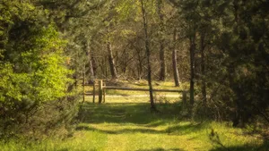 Natuurbegraafplaats Mepperdennen