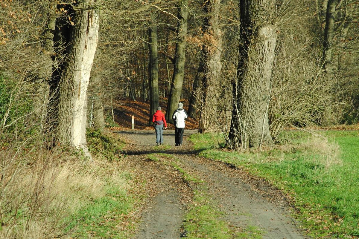 Wandeling vol liefde: ontdek deze twee bijzondere valentijnsroutes in Friesland en Drenthe
