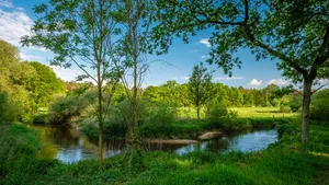 wandelen natuur nederland