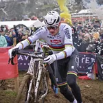 mathieu van der poel