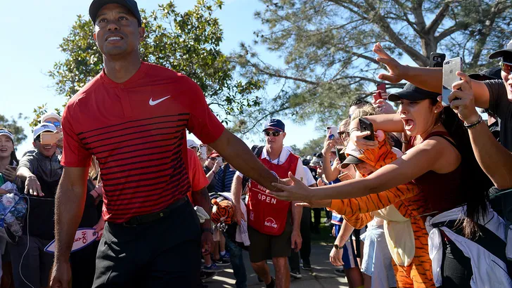 tiger woods