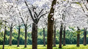 Bloesempark Amstelveen