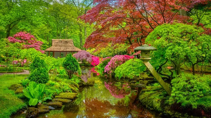 5 Japanse tuinen om helemaal zen van te worden 